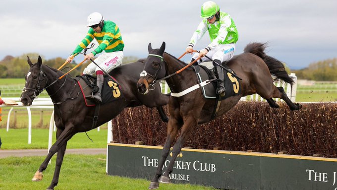 🐦Pigeon🐎Island🐦 tweet media