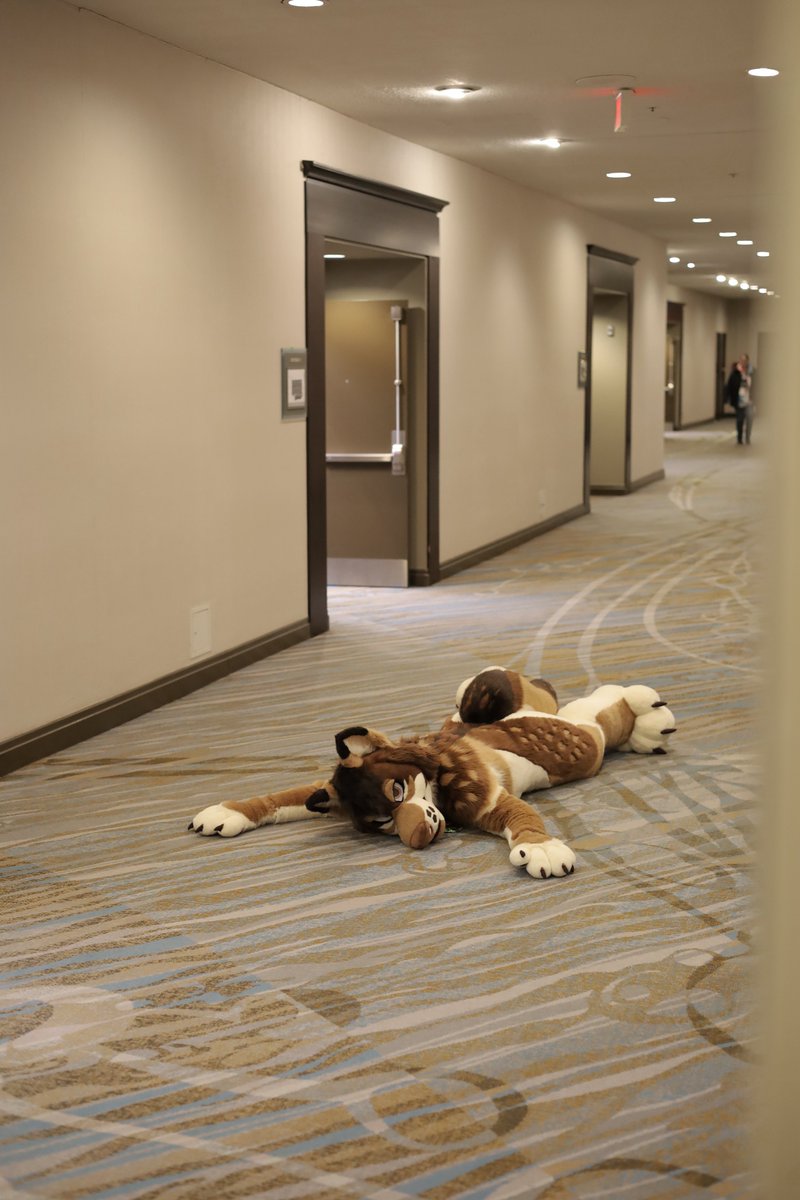 Kieran 🔜 FE, CFz tweet media