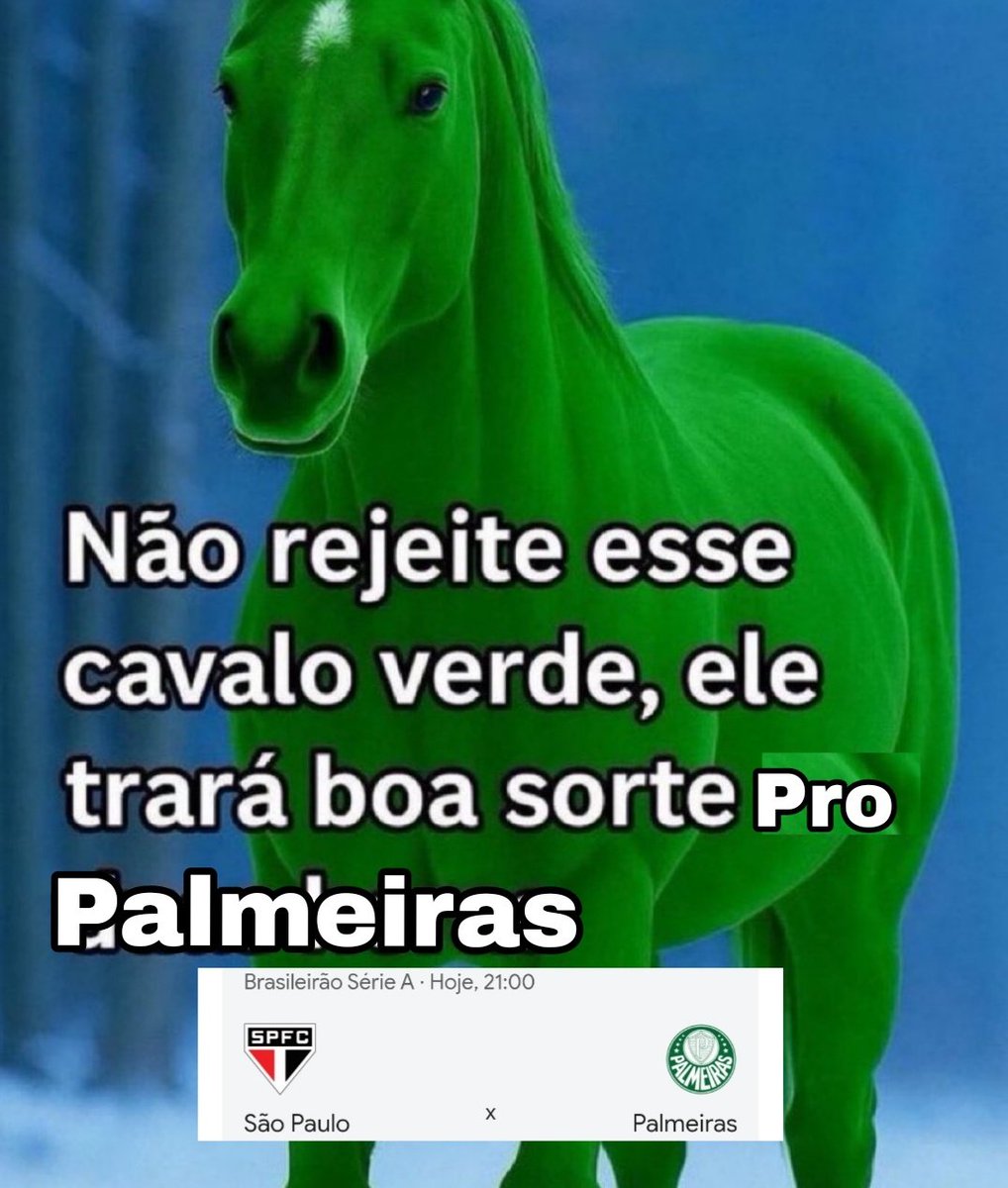 Palmeiras memes🐷💚 tweet media