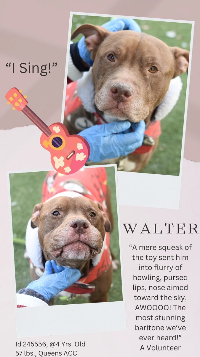 Not the Same tweet media