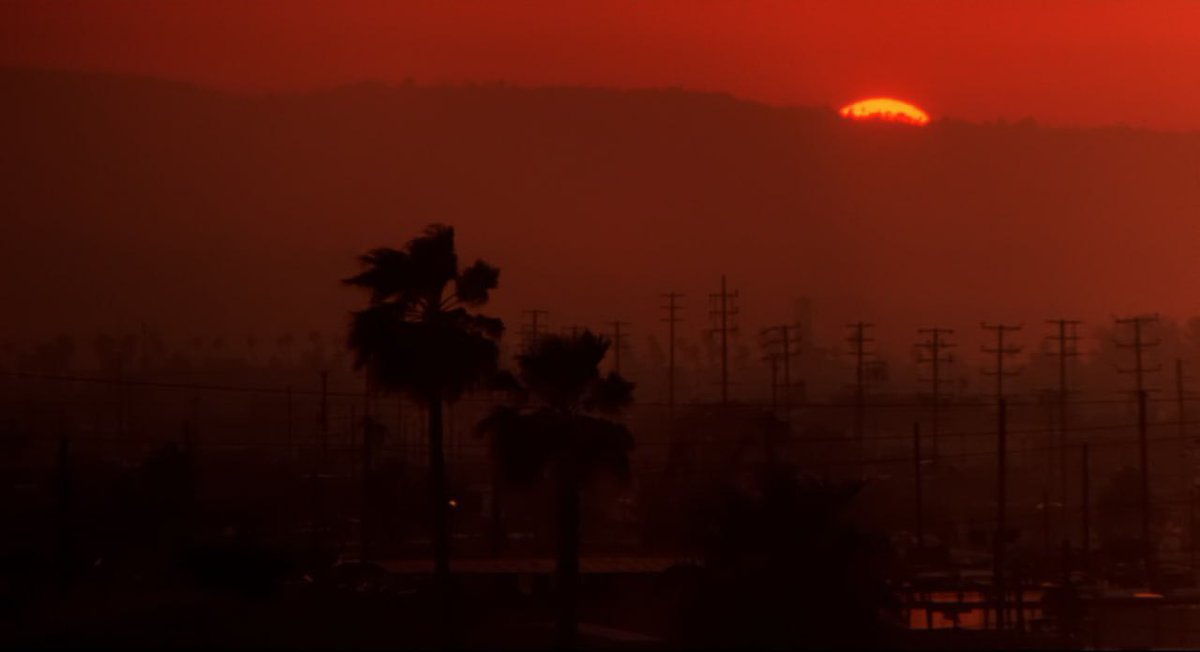 harrison tweet media