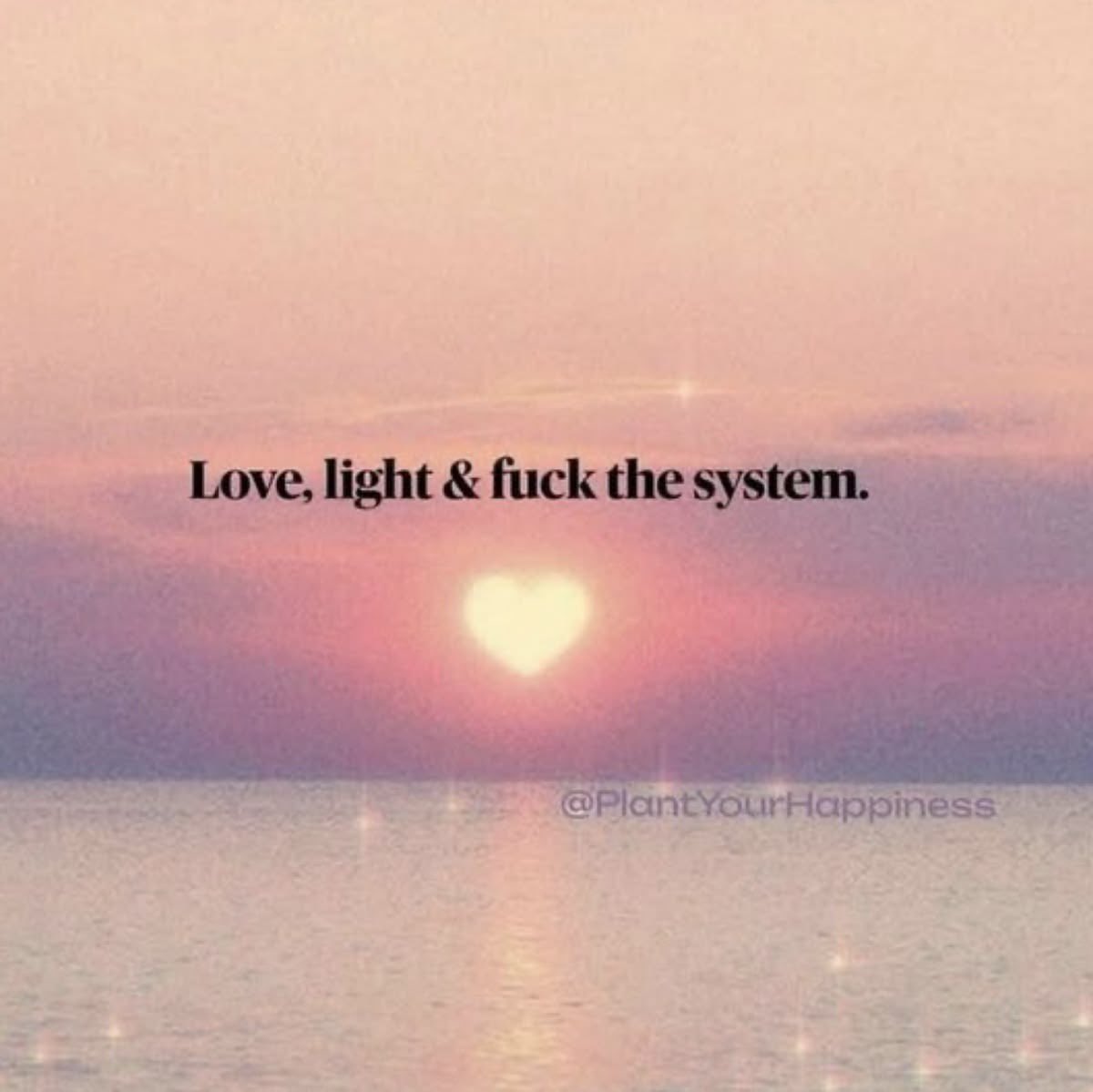 🧬Maxpein🧬 tweet media