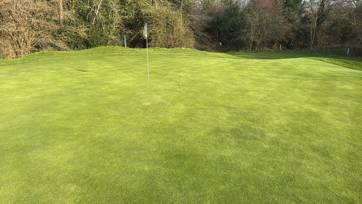c86low's tweet image. Afternoon knock with my helper! Nice to see the course from a golfing perspective! Really happy with how it’s playing at the moment! #turf #golf #greenkeeping #weekend #sunshine
