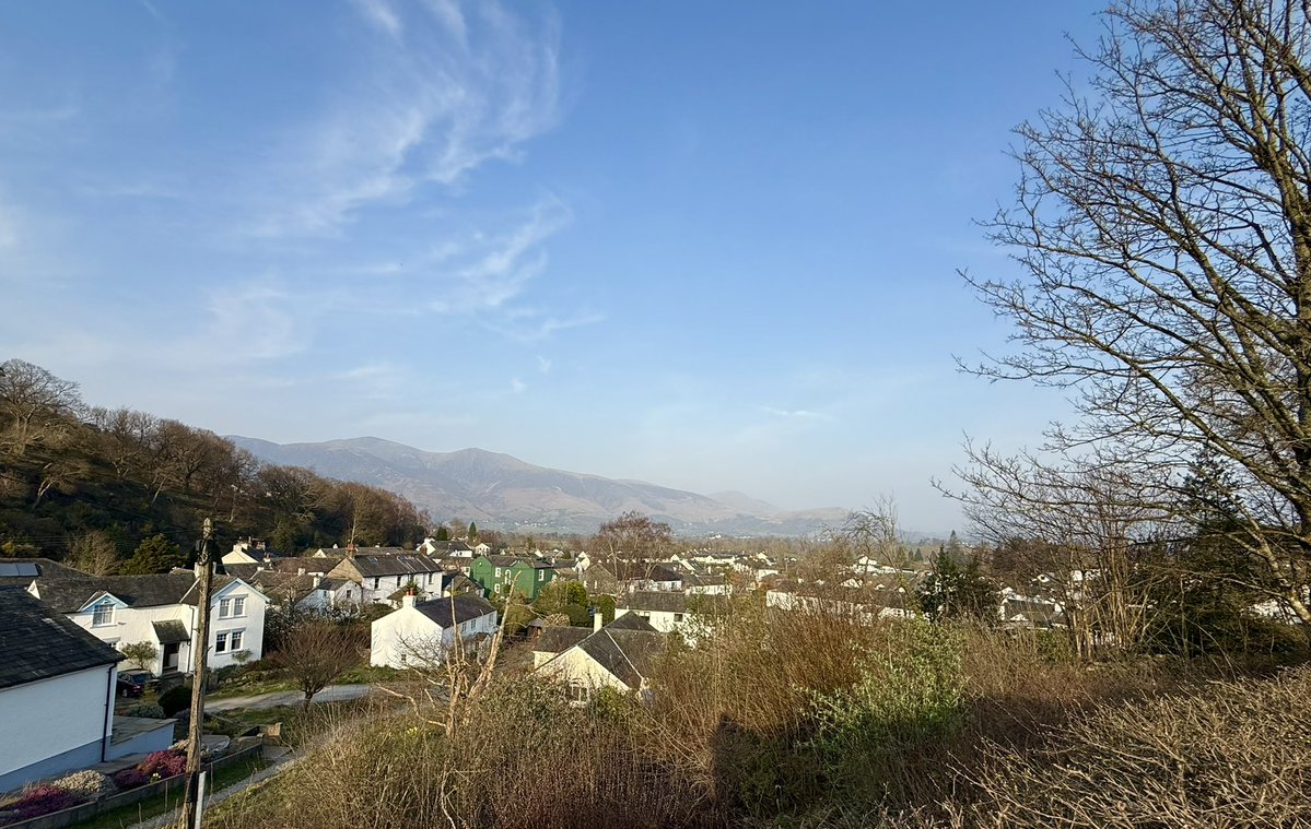 Simon Fish tweet media