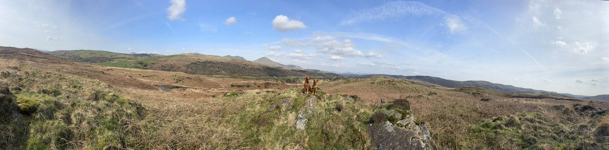 Sandy Childs tweet media