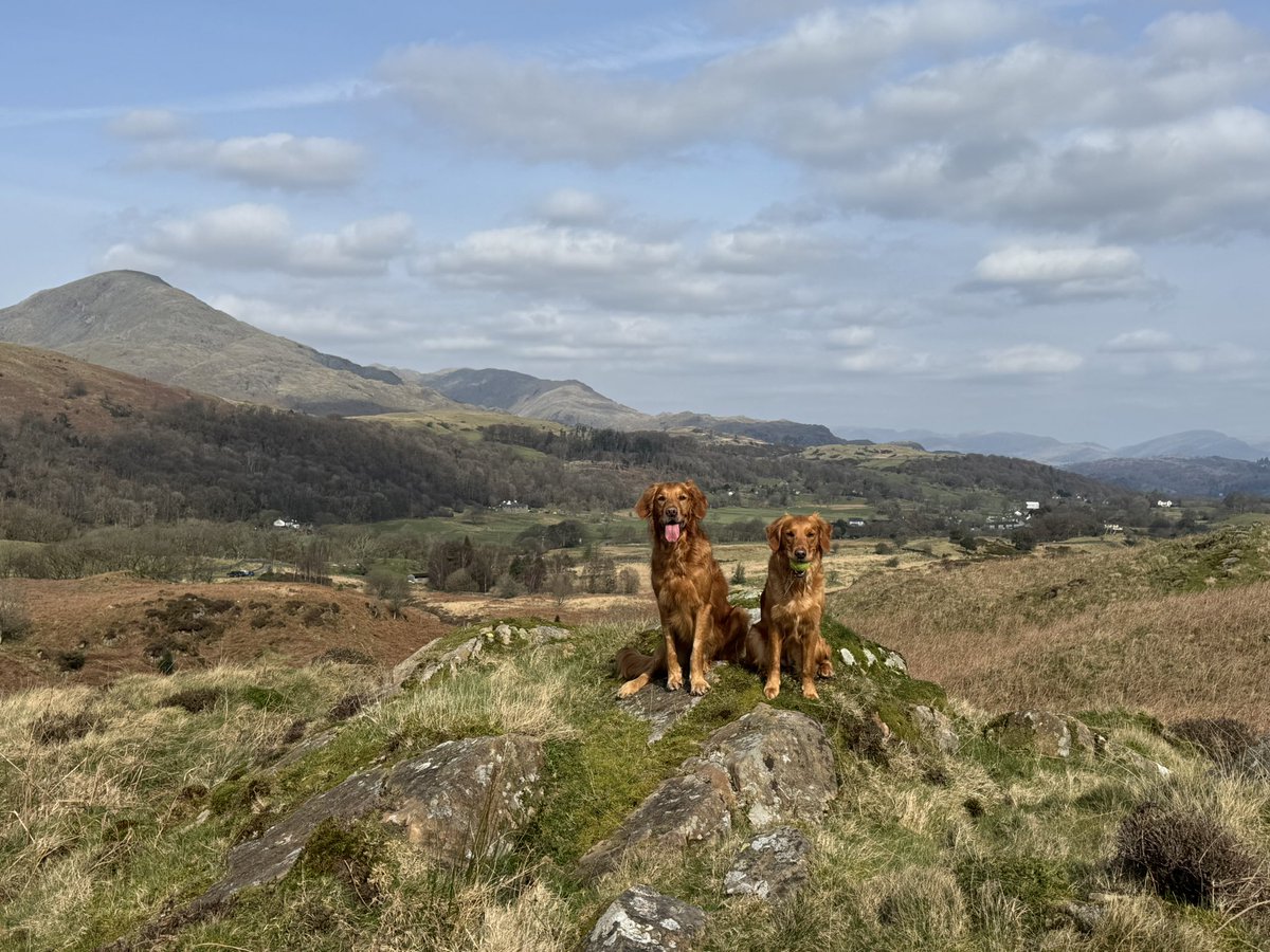 Sandy Childs tweet media