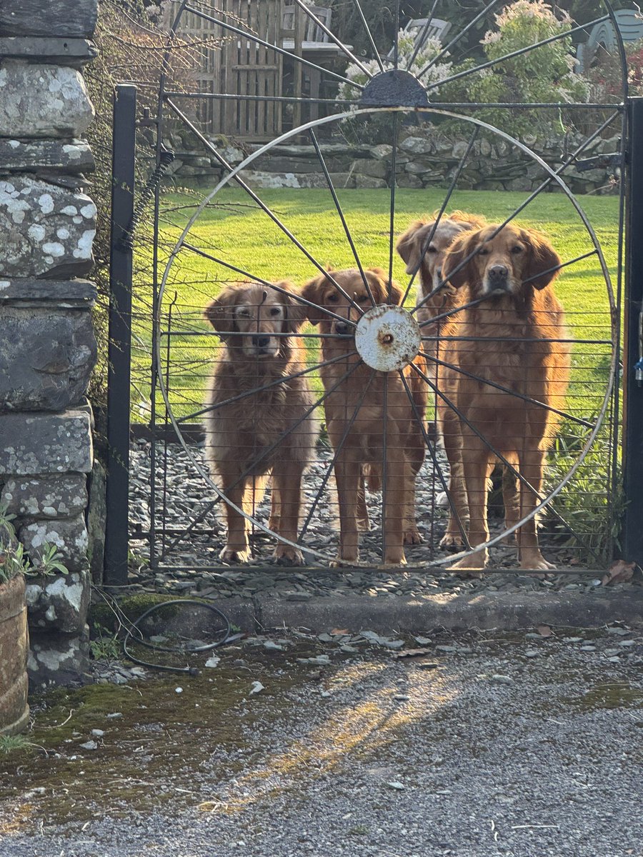 Sandy Childs tweet media