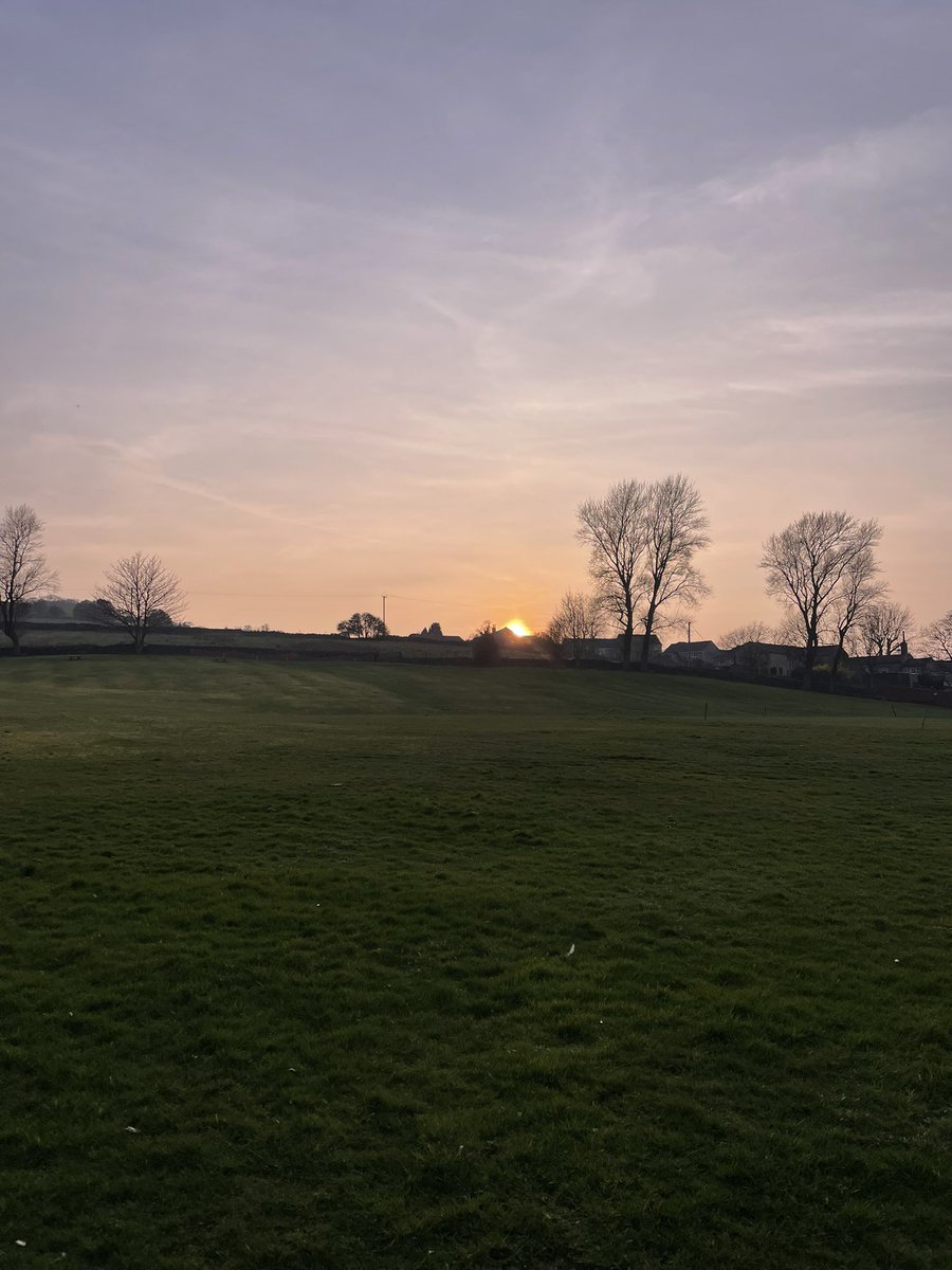 The Terracers tweet media