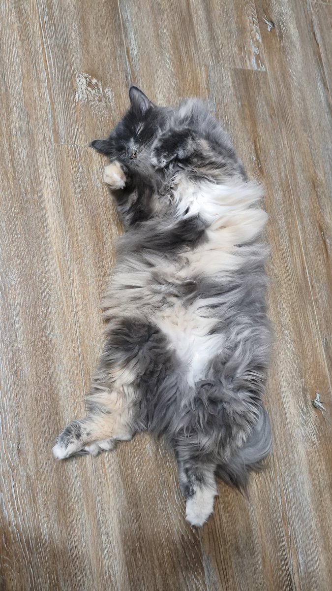 Ron Dalton tweet media