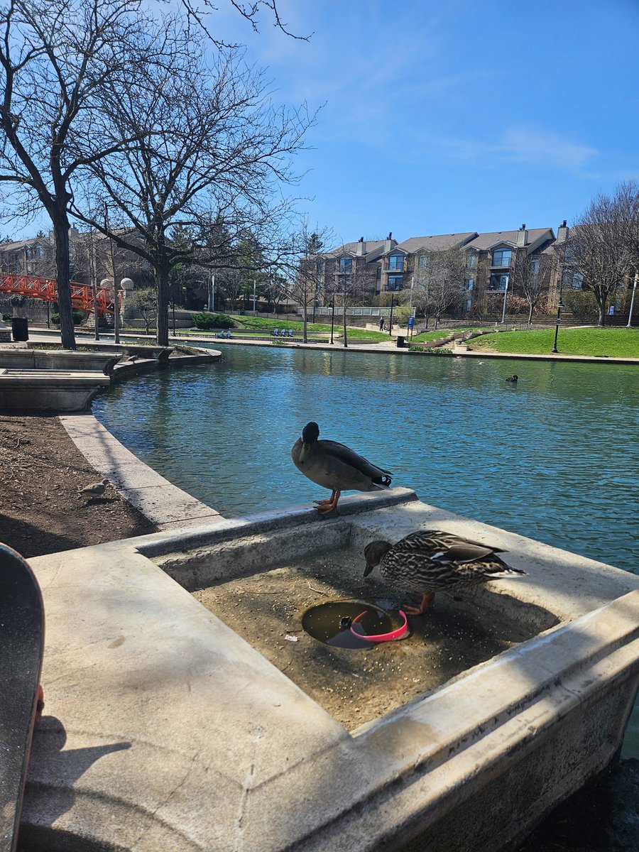 ODSY I Scrubbed Out tweet media