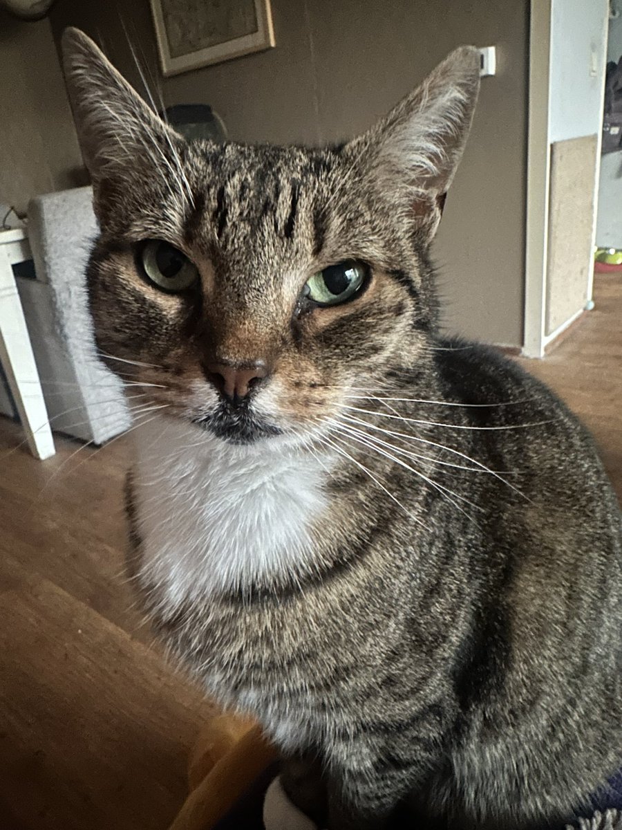 Jelmer Visser tweet media