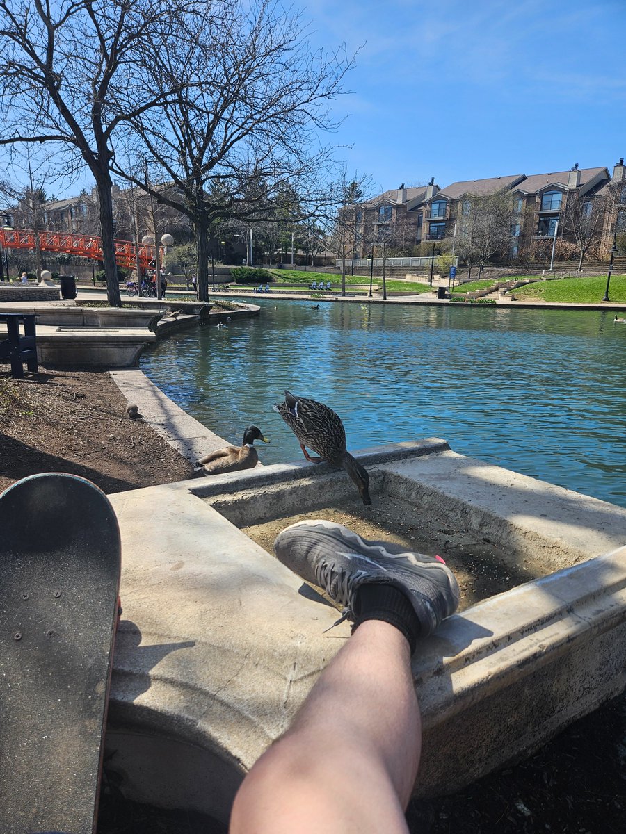 ODSY I Scrubbed Out tweet media