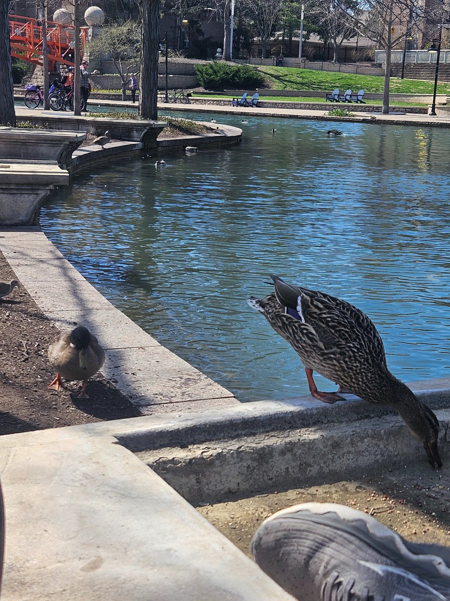 ODSY I Scrubbed Out tweet media