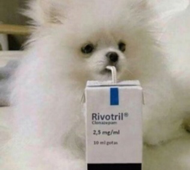 Sªndrª 🤎🤍🤎 tweet media