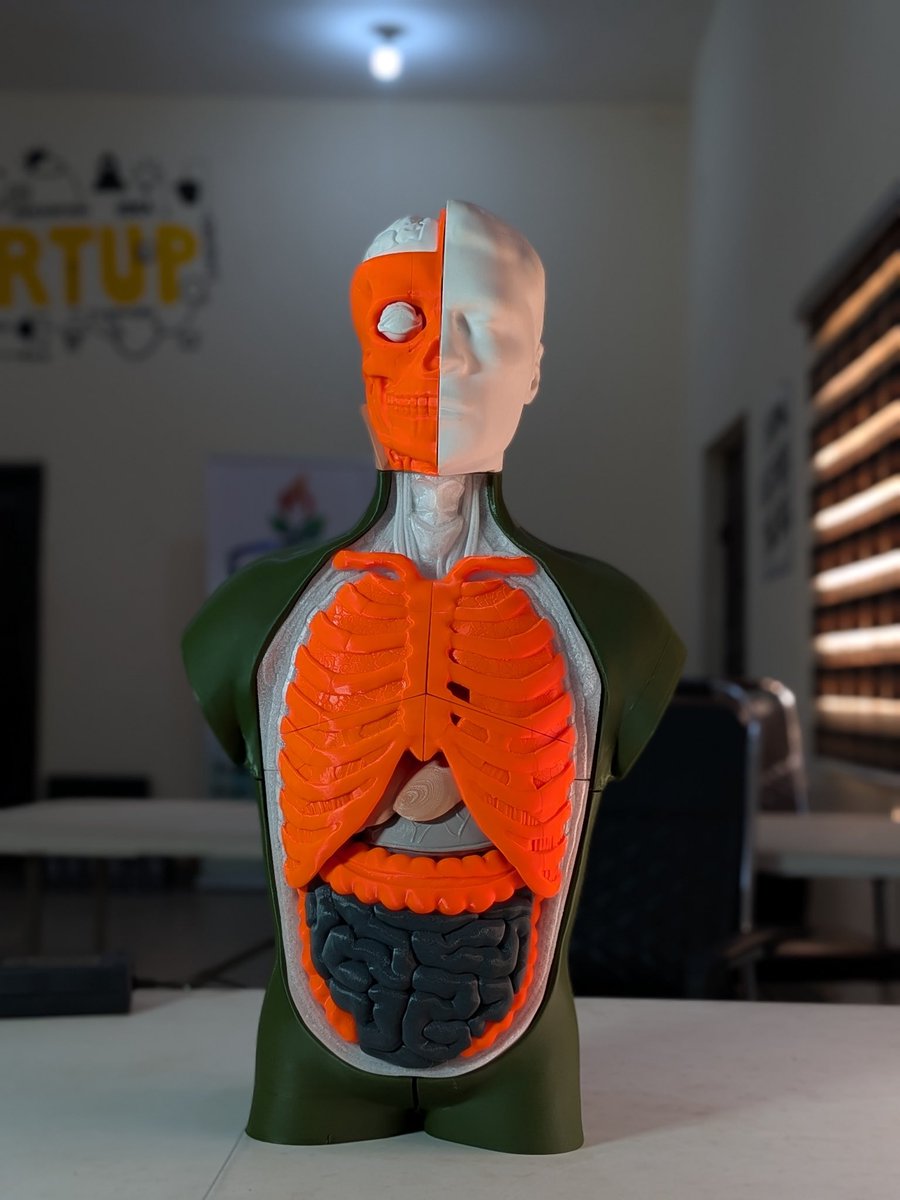 Sebastian tweet media