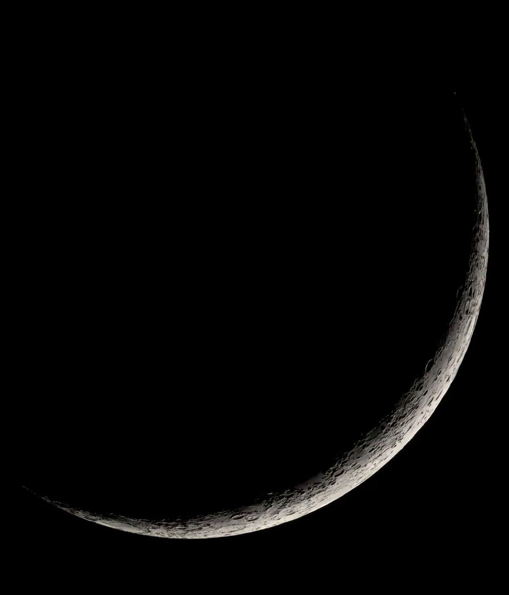 yass🫖 tweet media