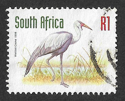 Scott Thomson tweet media