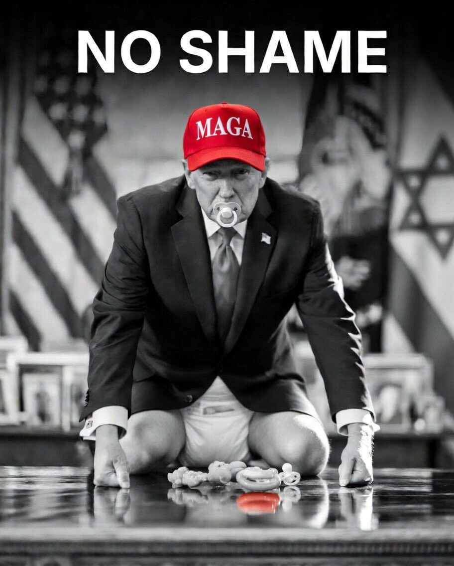 theleakyquill's tweet photo. @WhiteHouse Babies have more class, style and honour than this POTUS… 🍼 https://t.co/Q4ruCLxVoX