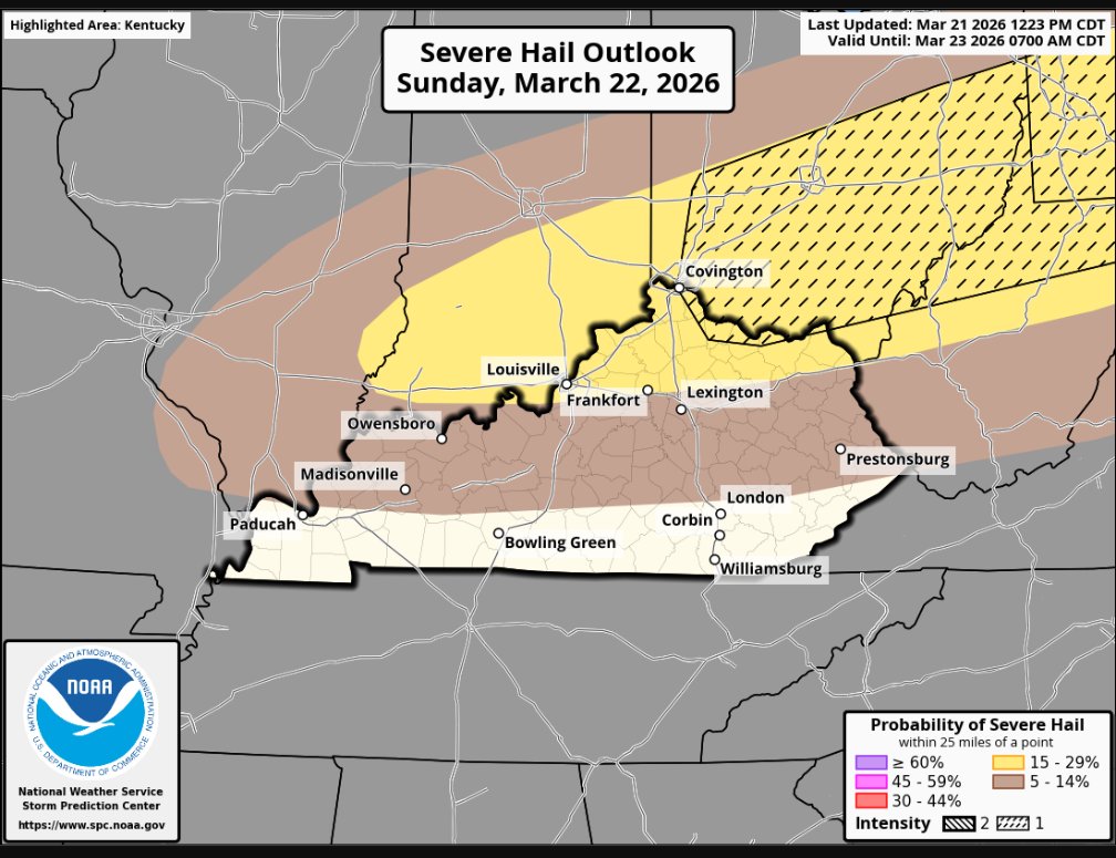 Storm_101 tweet media