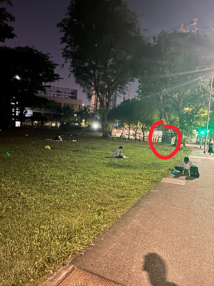 @lcoholik tweet media