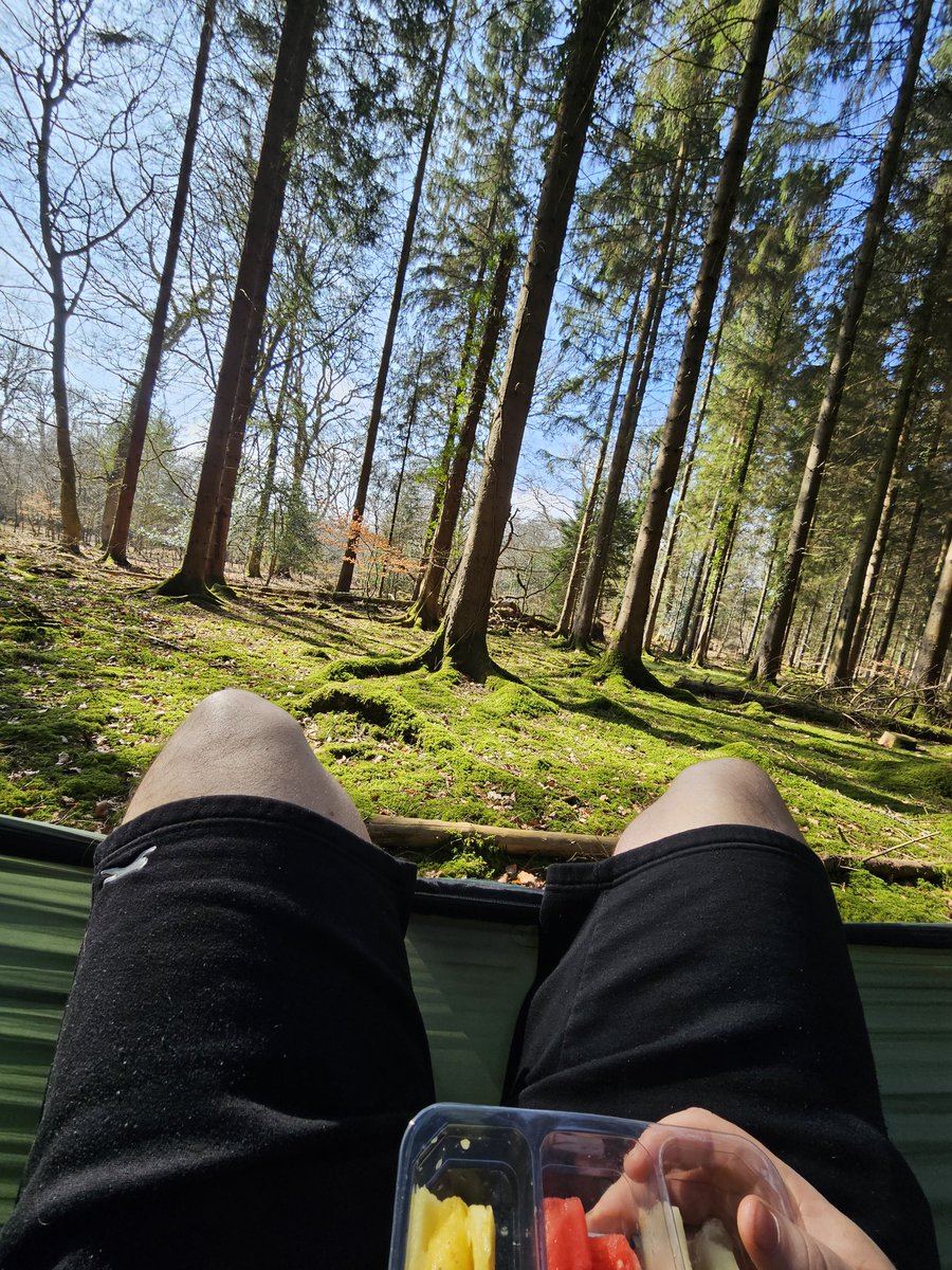 Kyle 🤙#VODGang tweet media