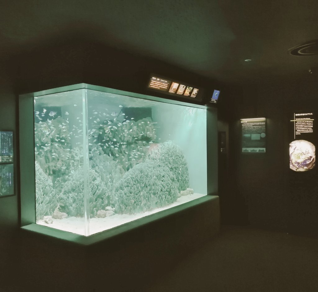 花宿スーのさぶ🌸 tweet media