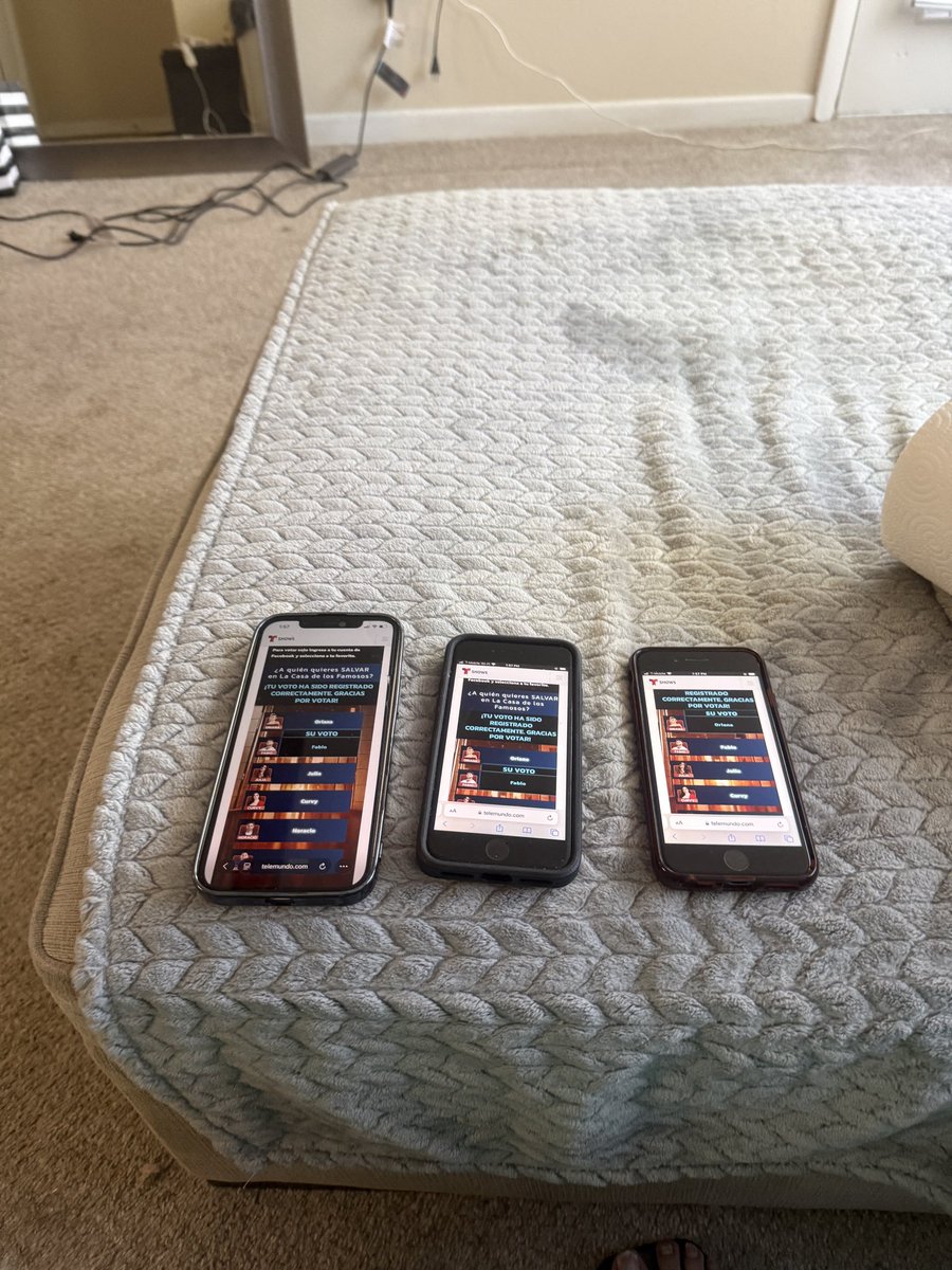 Cami Prado 🇵🇷 tweet media