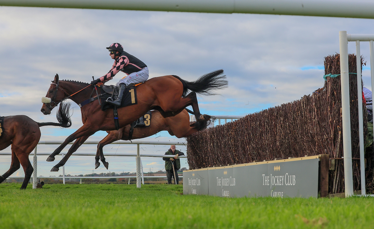 🐦Pigeon🐎Island🐦 tweet media