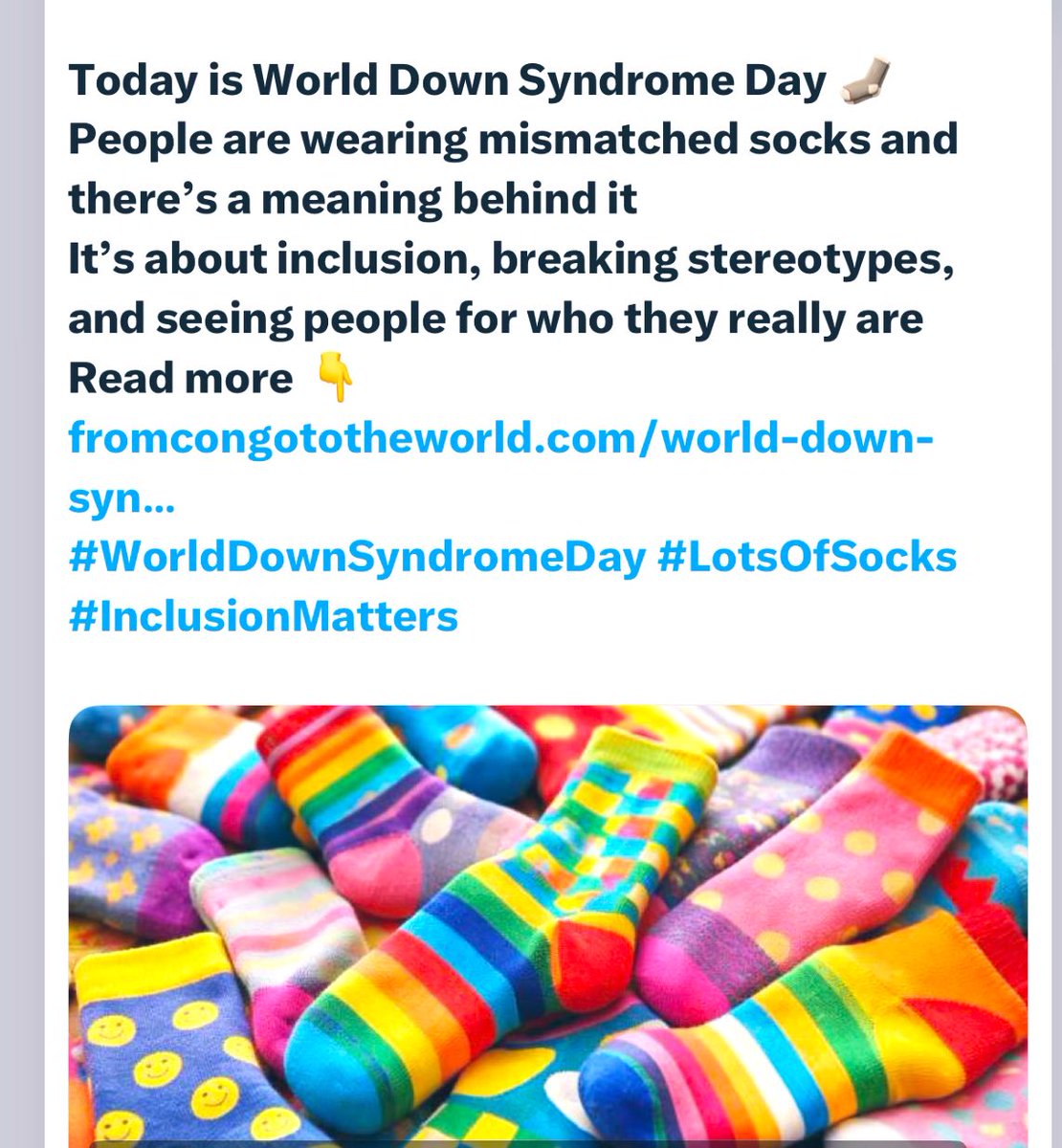 Anne Torrison tweet media