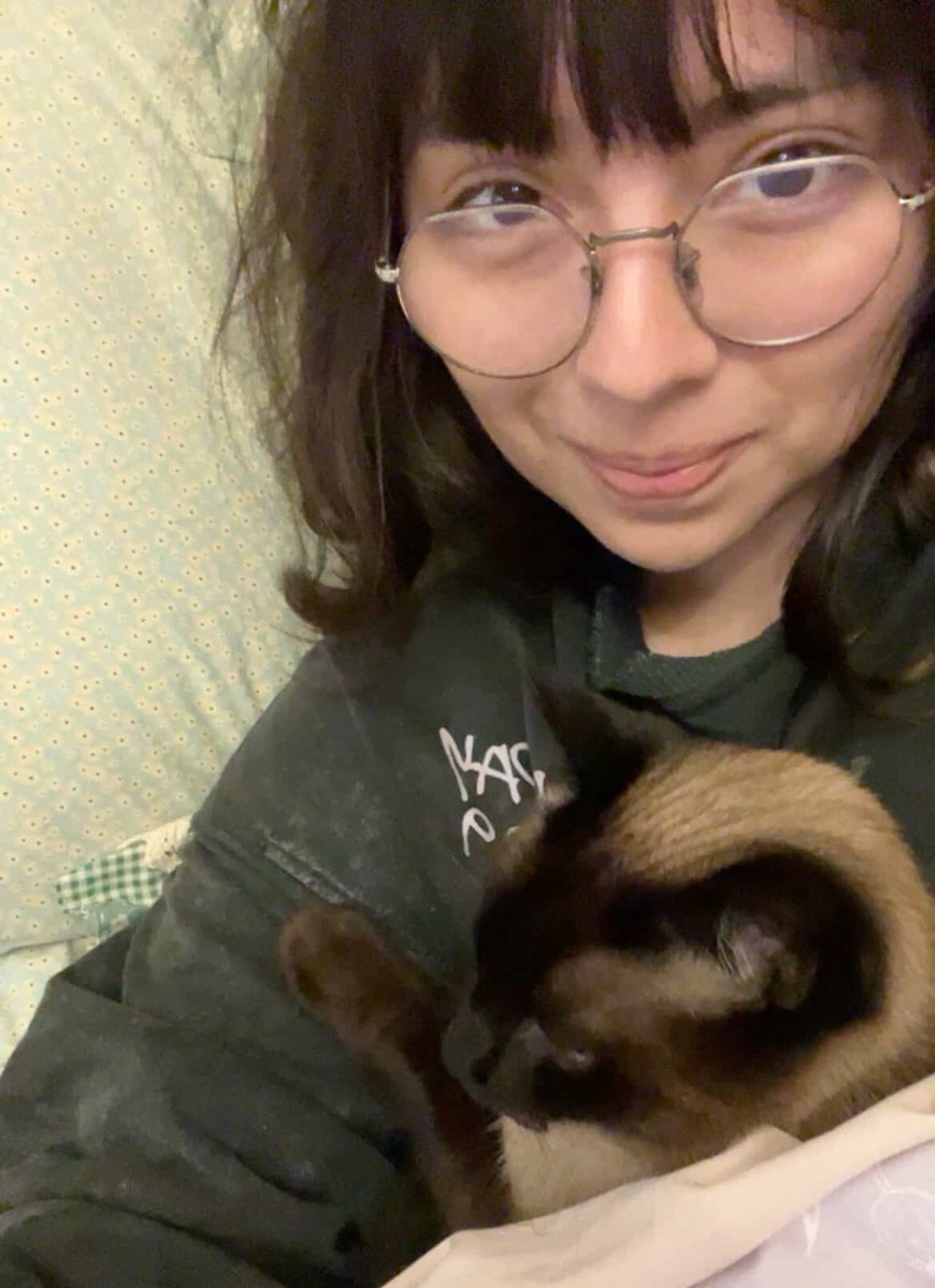 fløq ⊬ 👻 tweet media