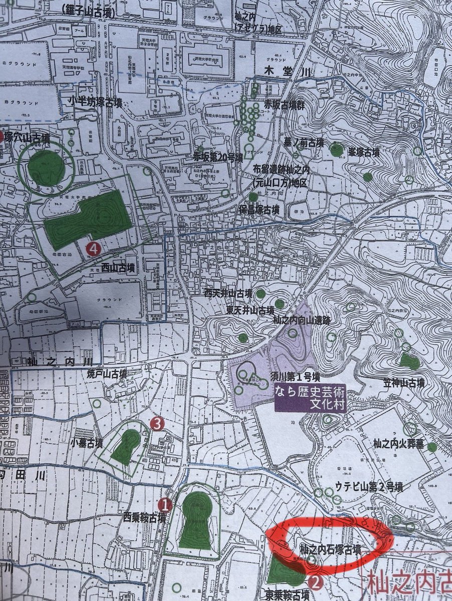 Sou_curator tweet media