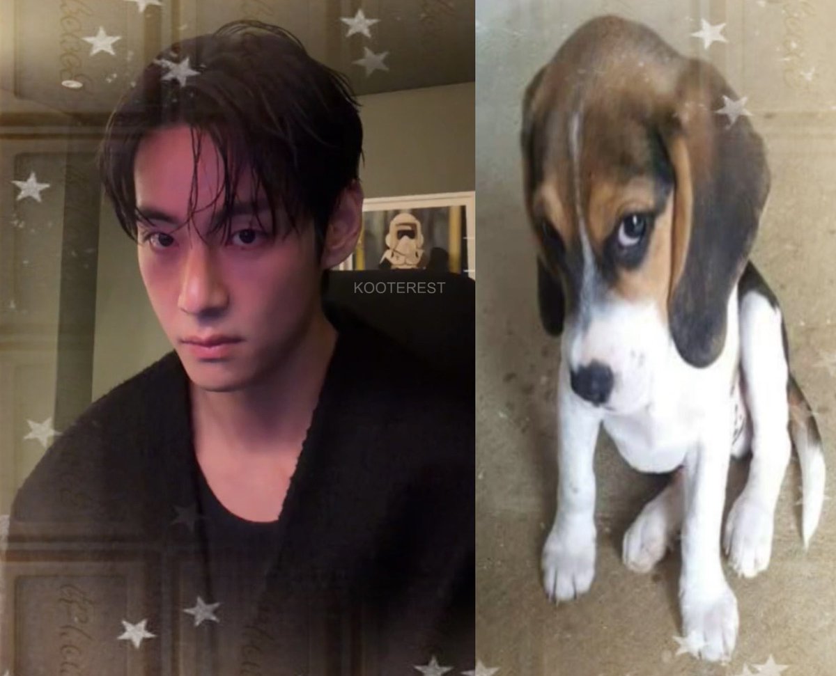 ✩ seeing bts tweet media