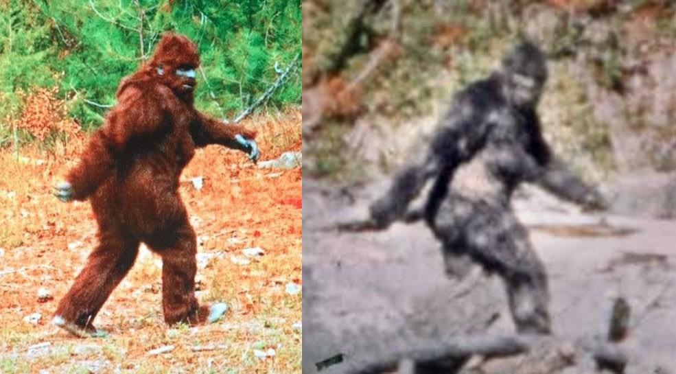 Bugimus's tweet image. The Making of Bigfoot: The Inside Story—Greg Long

The SXSW premiere of Capturing Bigfoot, directed by Marq Evans, has turned the Bigfoot community upside down by alleging to prove that the Patterson-Gimlin film was a hoax all along. I thought it would be useful to remind