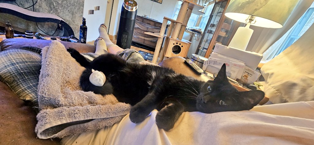 EdFatherOfCats tweet media