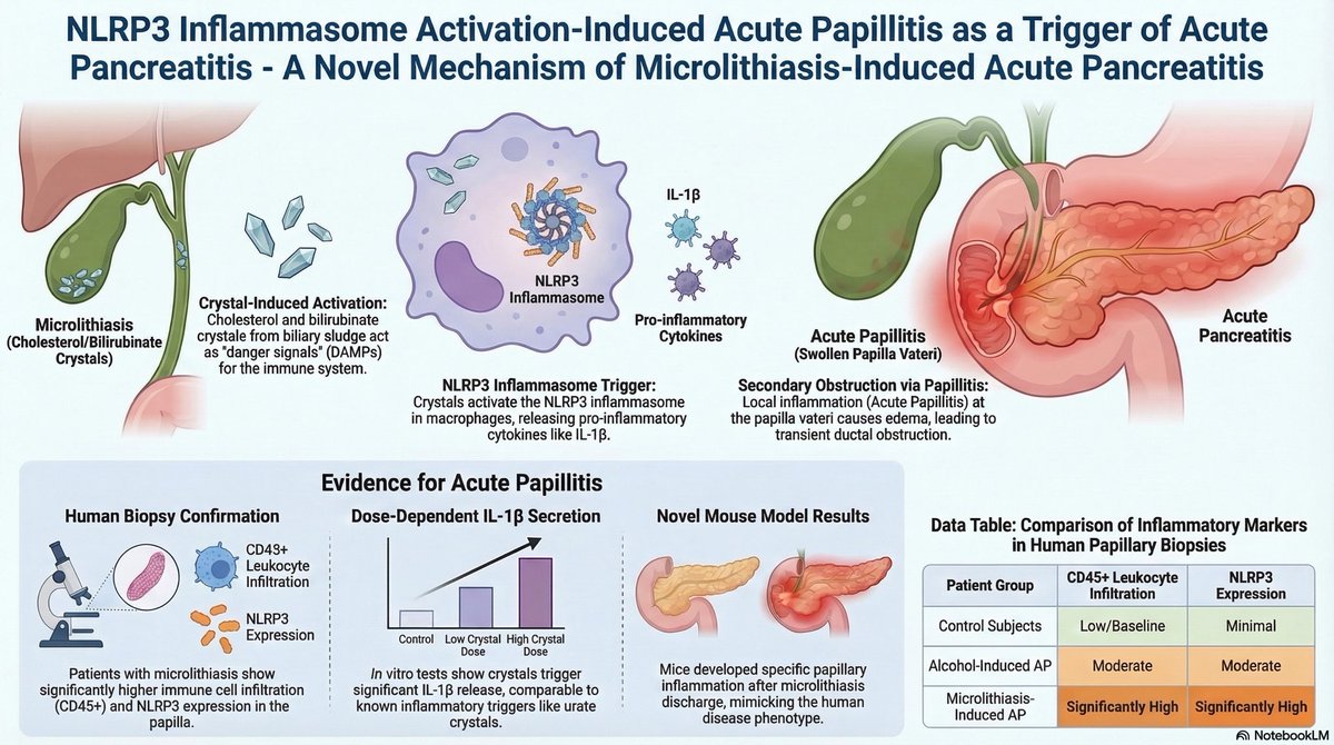 Sara Nikolić tweet media