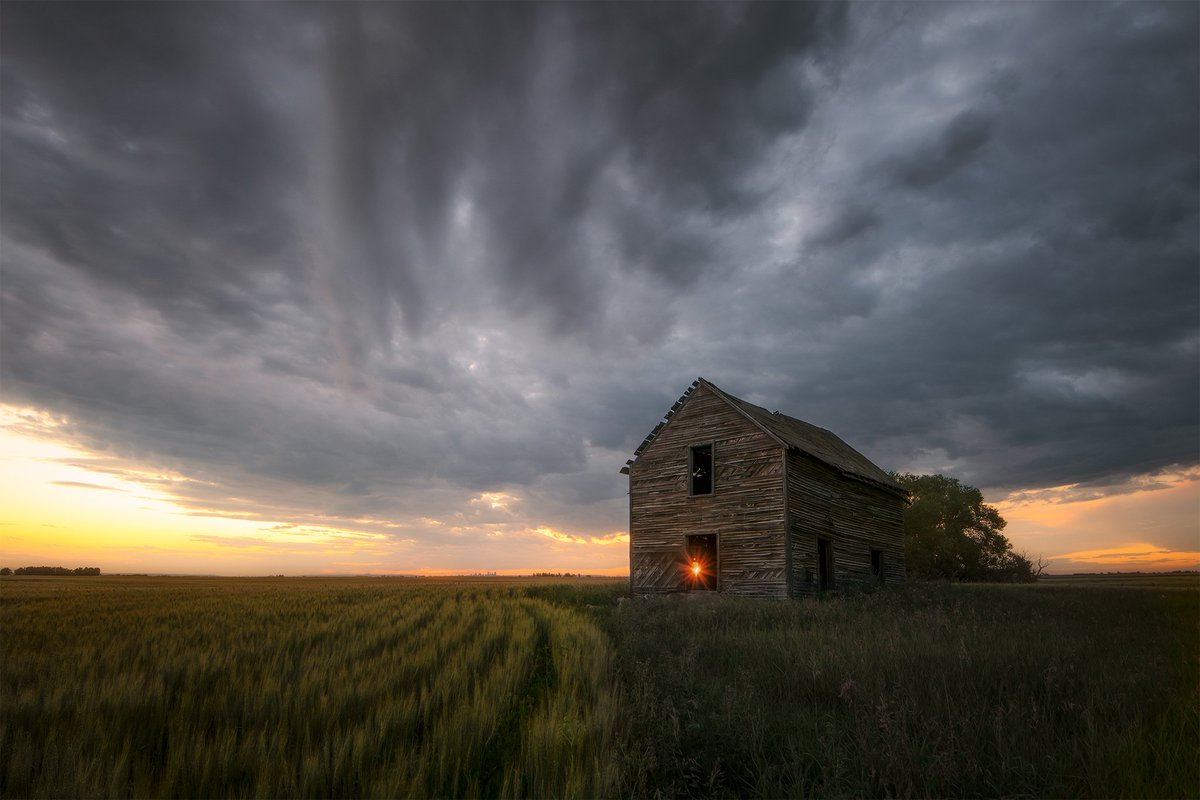 James Andrew tweet media