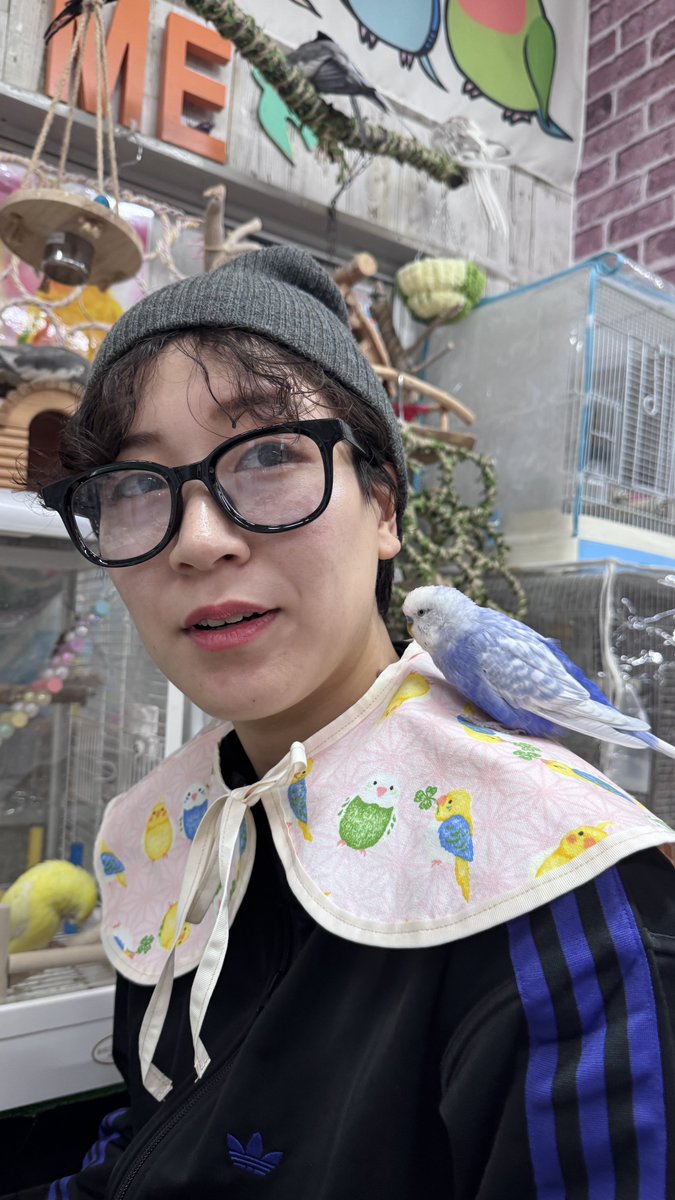 Fū / ふう tweet media