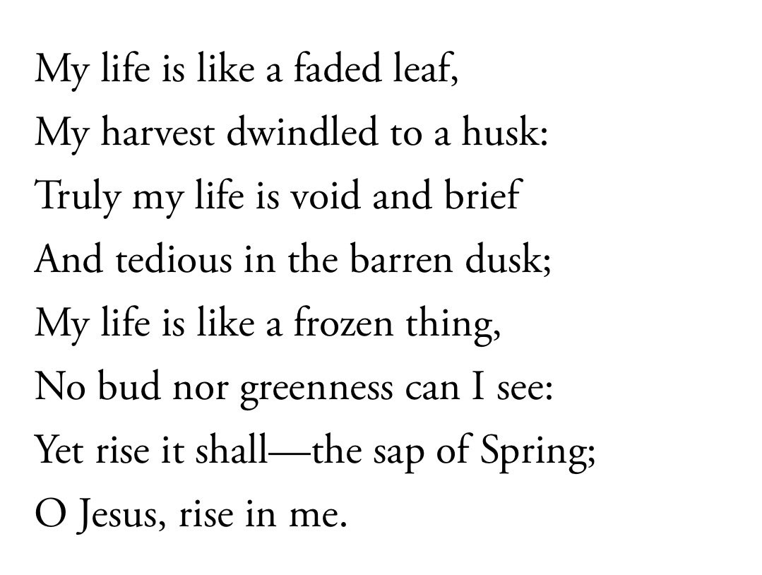 こむぎ tweet media