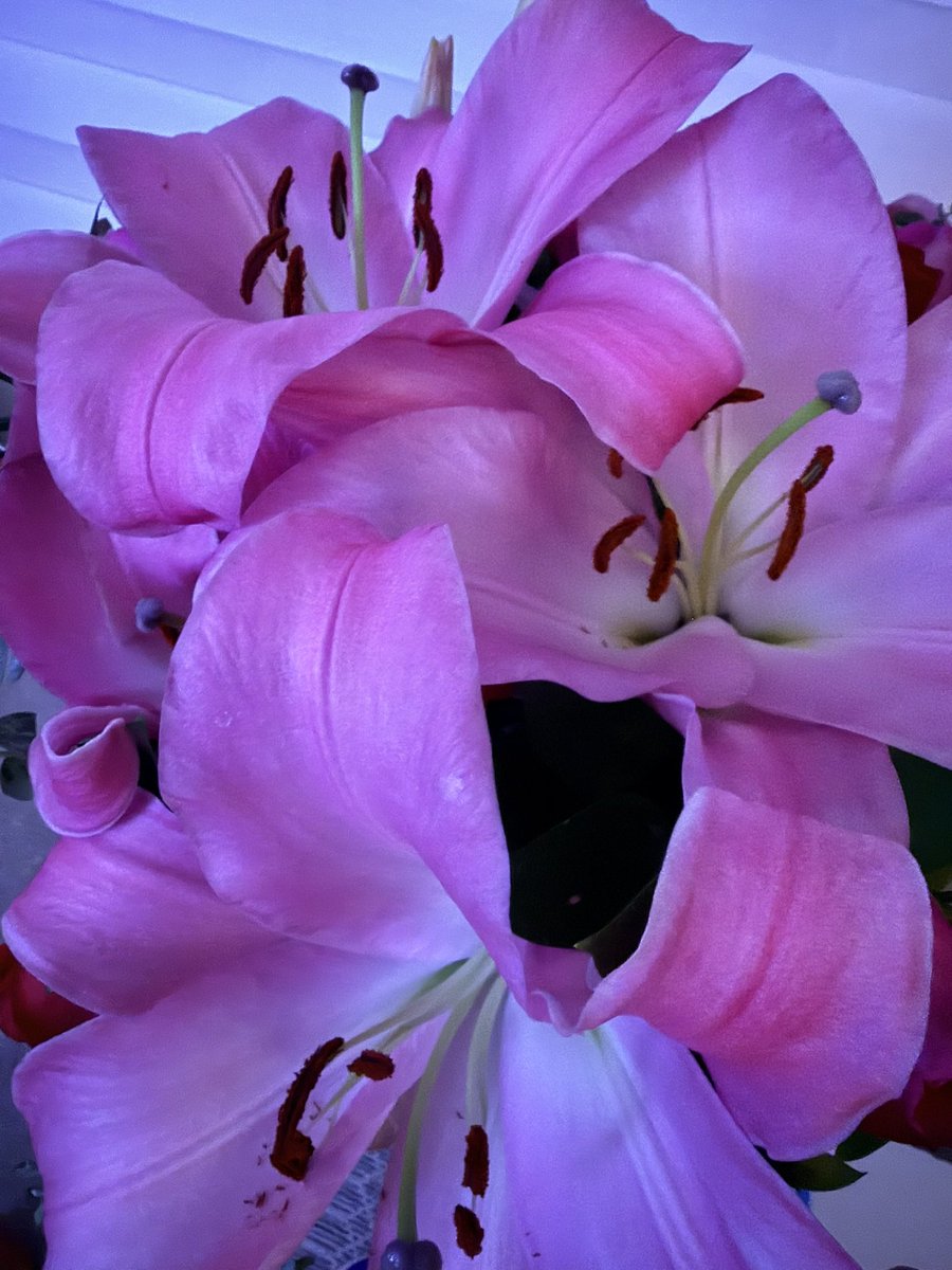 @ChatitaDelAlma tweet media