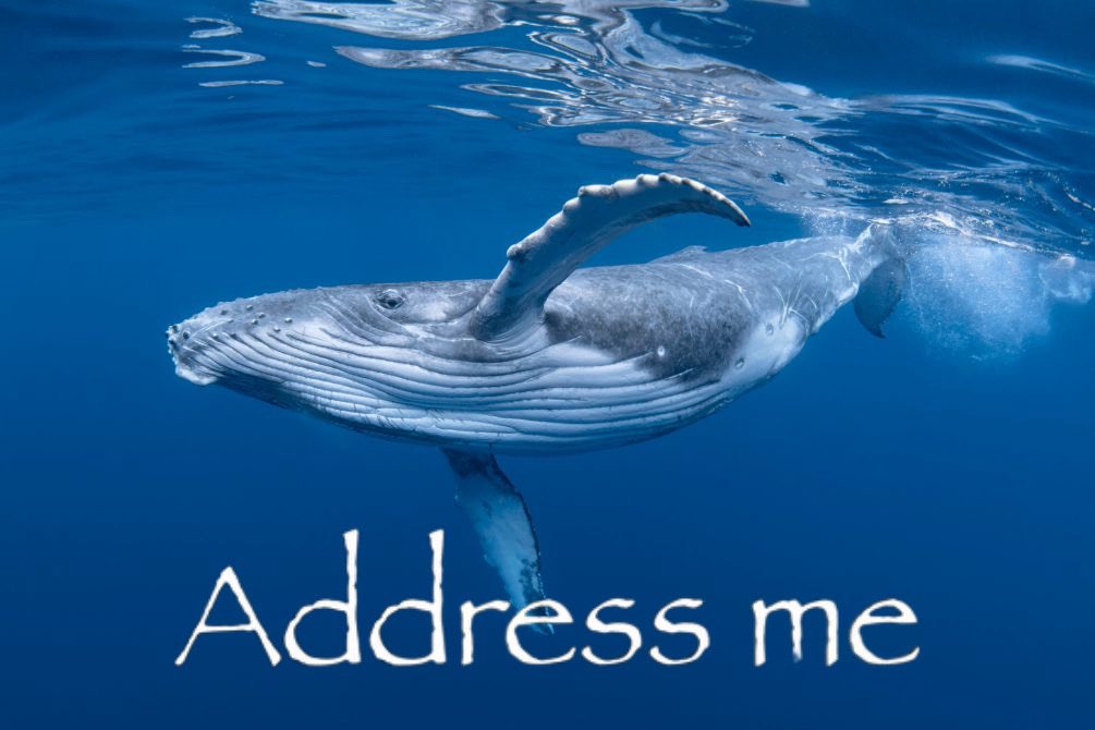 Mr. Goji  tweet media