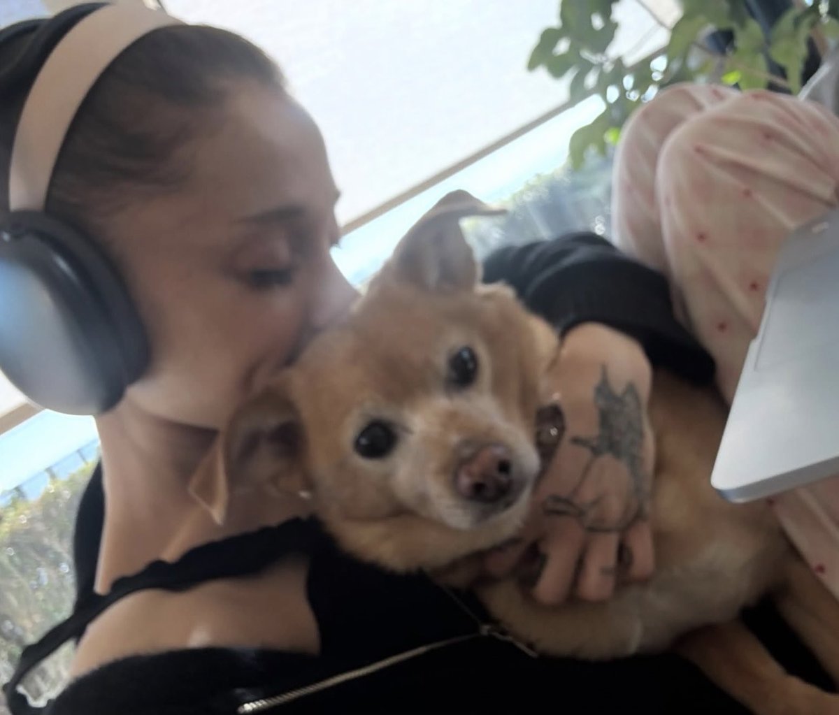 truestagb's tweet photo. ag8 featuring toulouse https://t.co/cyHfvUppbW