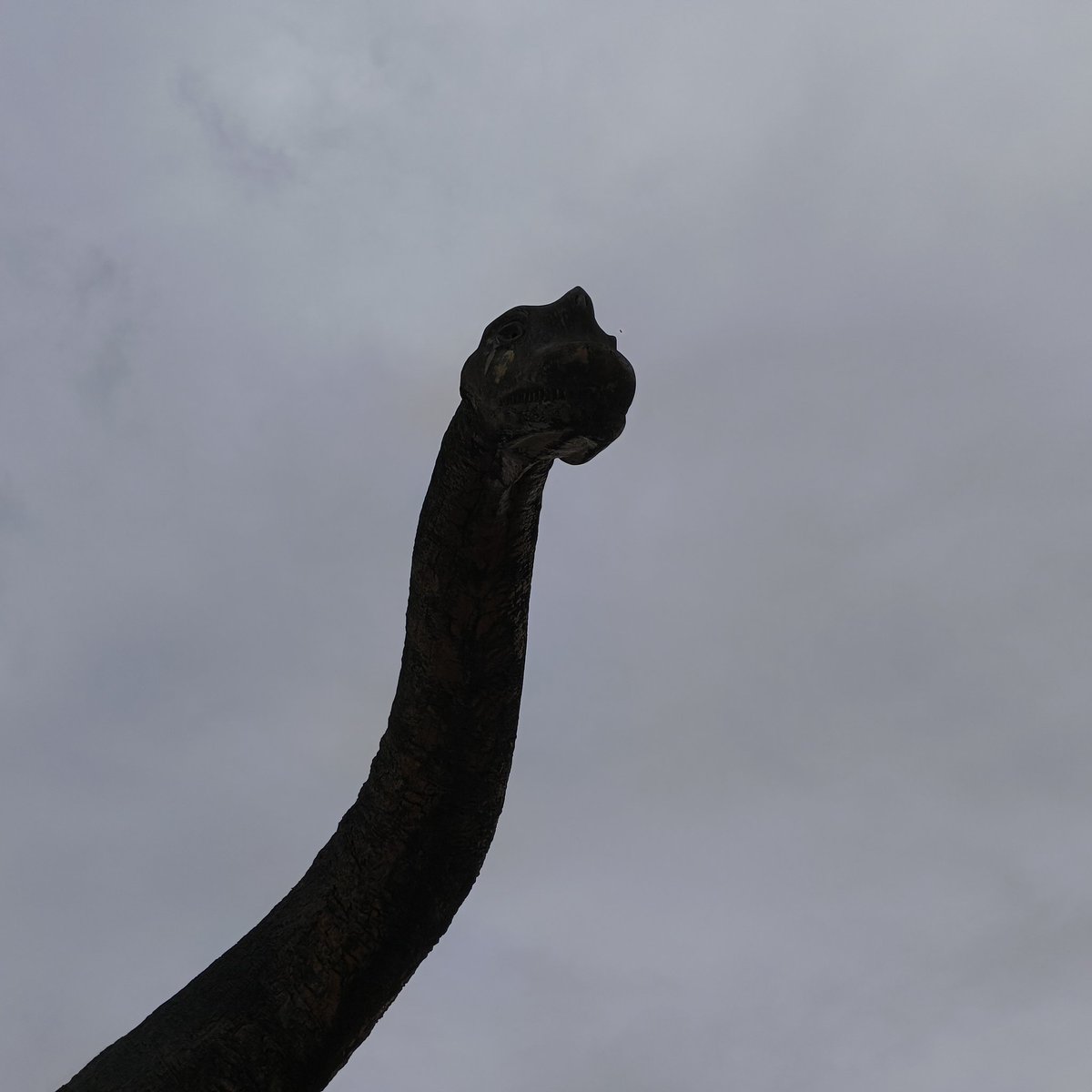 牡蠣爆発 tweet media