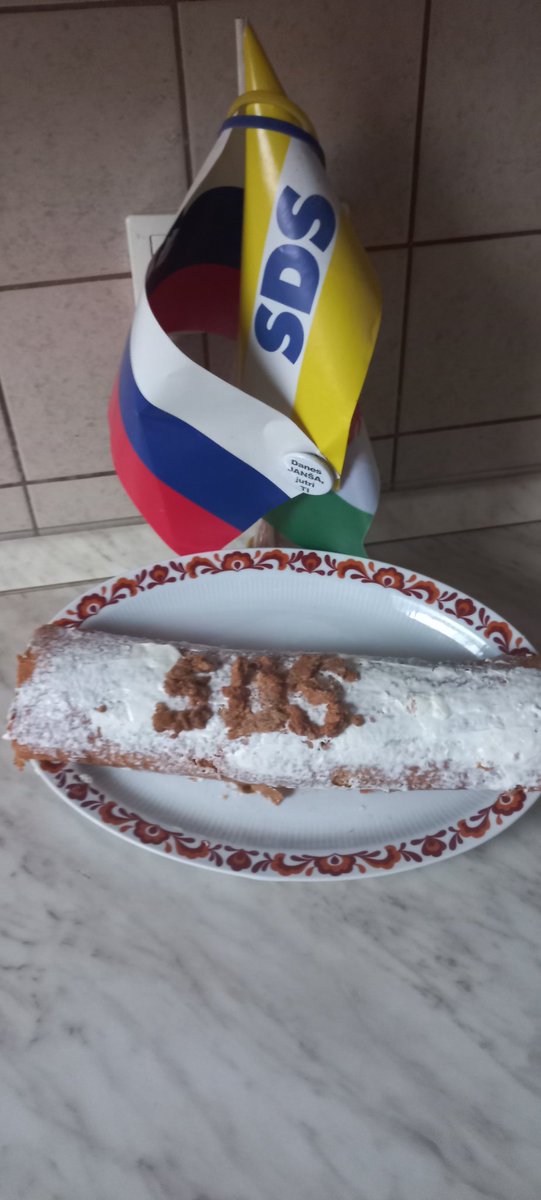 ✌🇸🇮Vika Pika #SlovenijaMojaDomovina tweet media