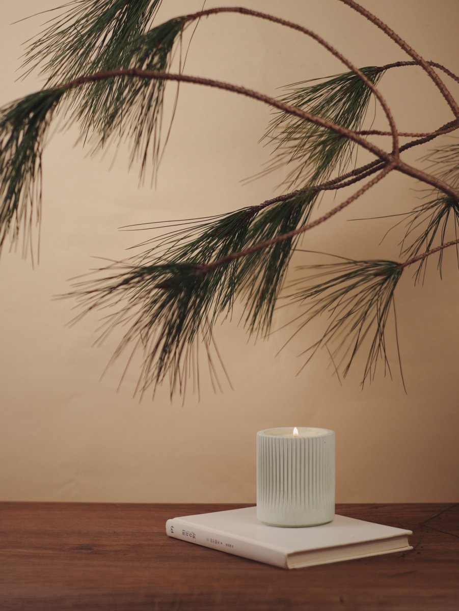 john churchill tweet media