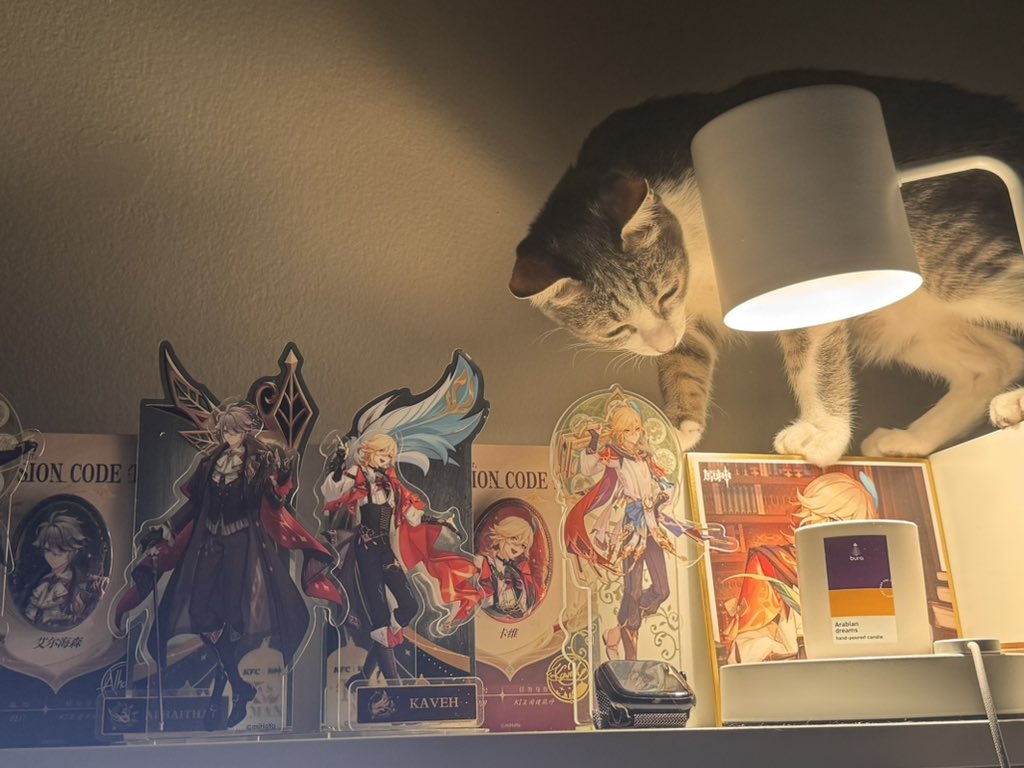 𝙥𝙞𝙣𝙭𝙯 | F89-90 #CQ9(Sat) tweet media