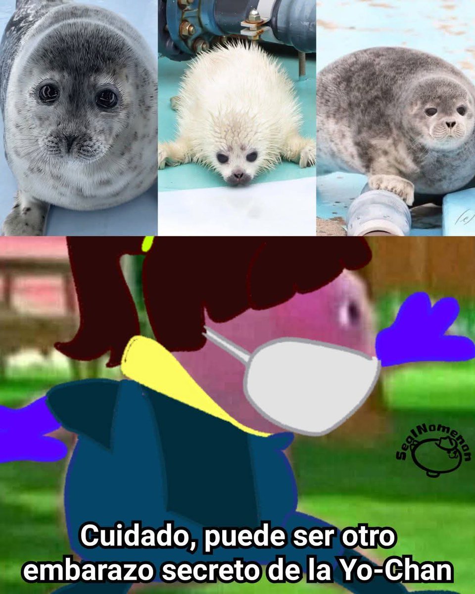 Breve Recordatorio Que Desde El Año Pasado Las Cuidadoras Del Tokkari 