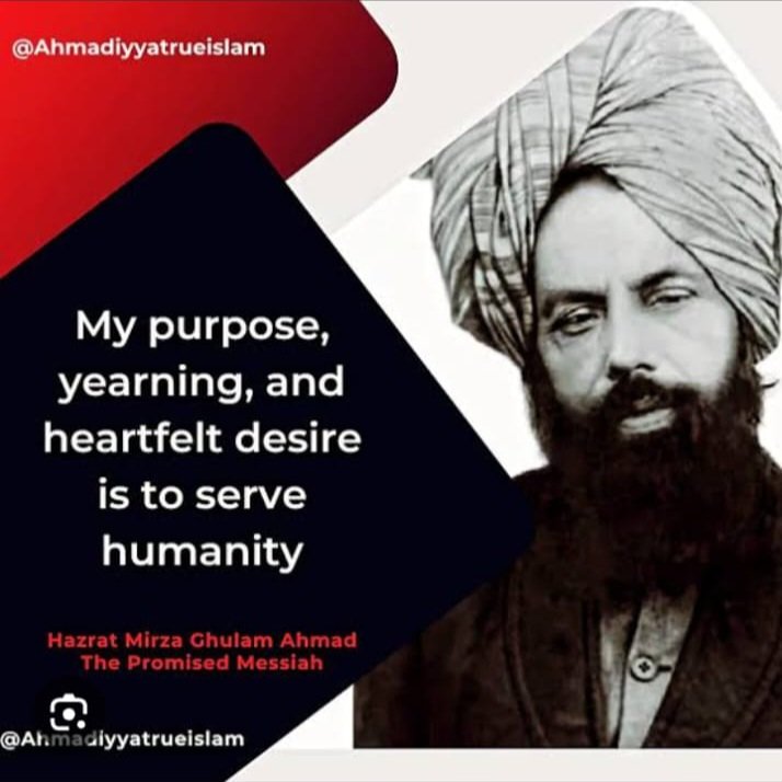 Zia Farooqui 🇵🇰 🇬🇧 tweet media