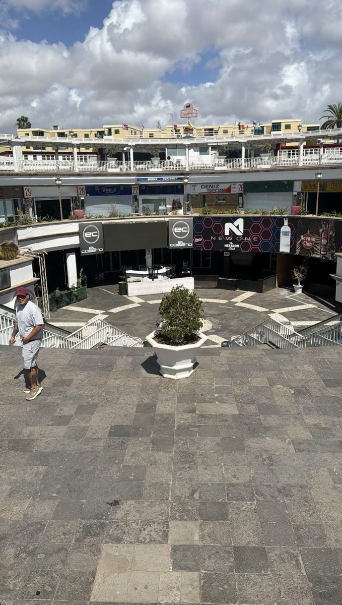 Quevedo Data 🌝 tweet media