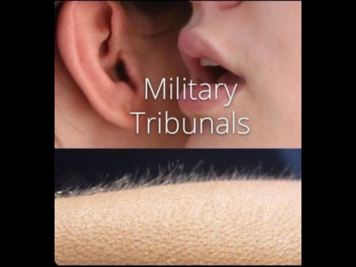 fee smit tweet media