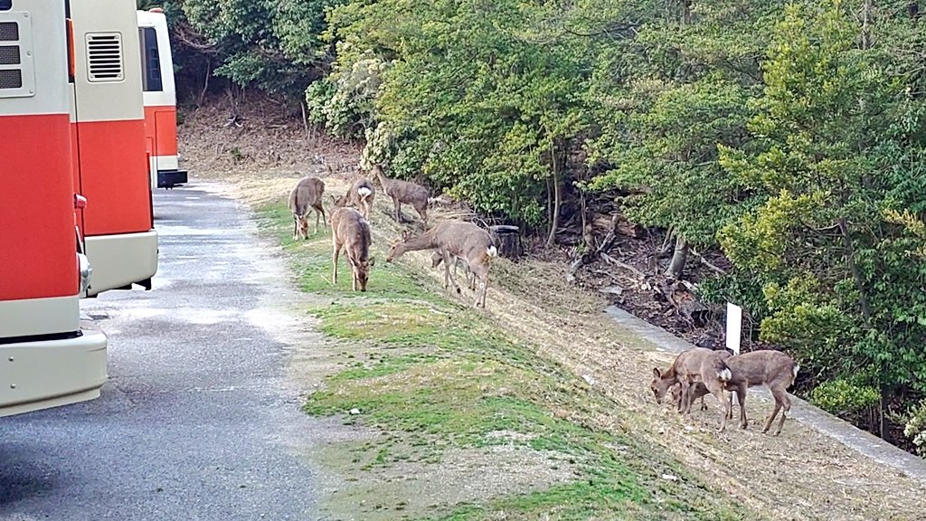 Seiuchi885 tweet media